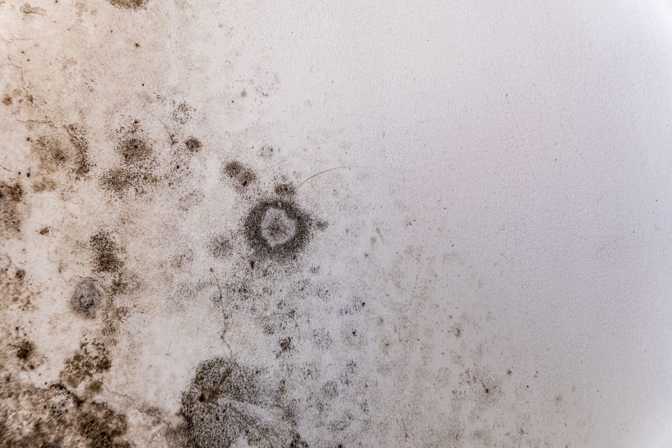 Dry-State Preservation